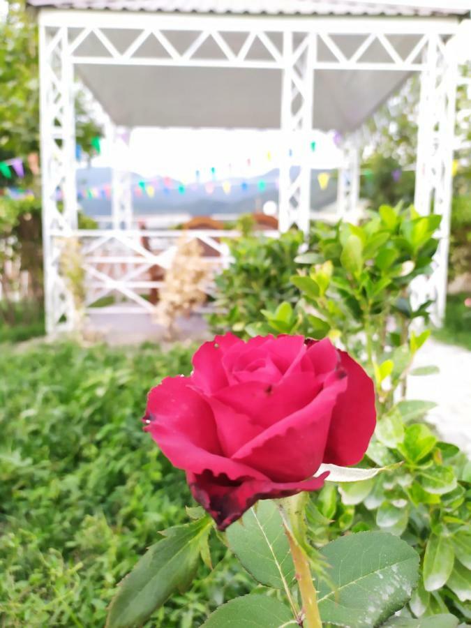 Bliss Inn Boutique Hotel Kebele Dış mekan fotoğraf