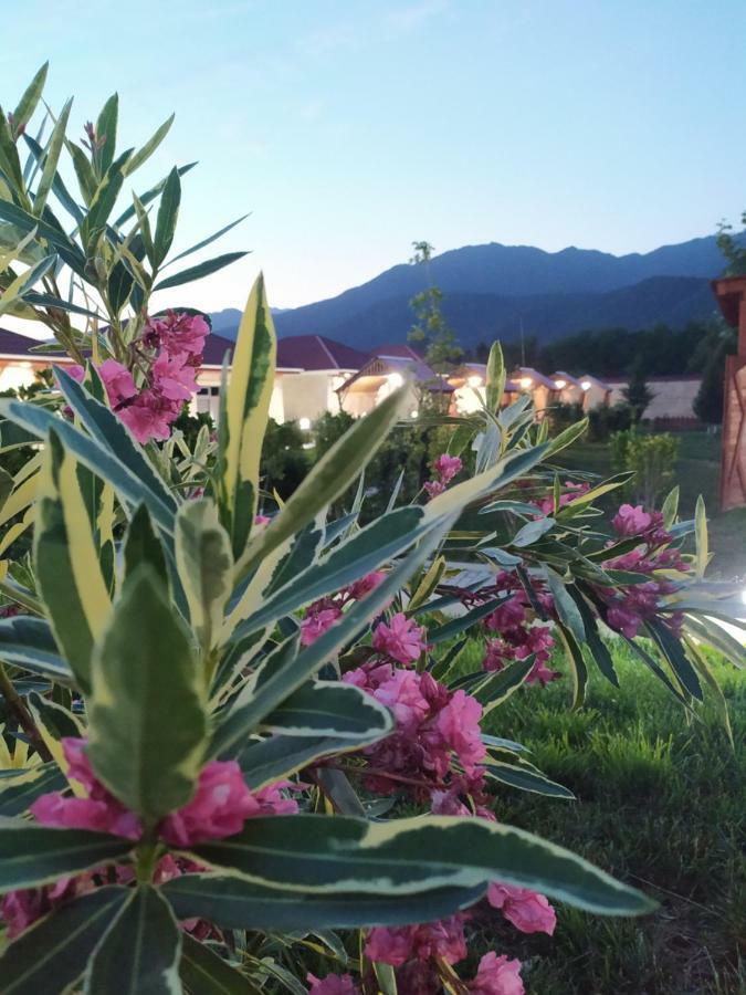 Bliss Inn Boutique Hotel Kebele Dış mekan fotoğraf